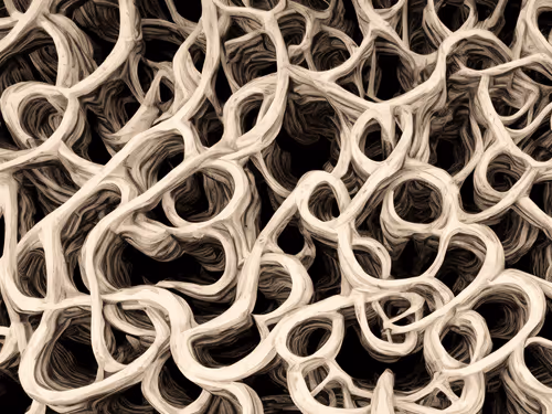 17639747846666091850070018132946332522399002875677863989985373622313982885889