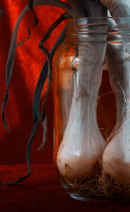 Item #65944253536368355183911176493195225270451461120377666666009501286057551855617 Media