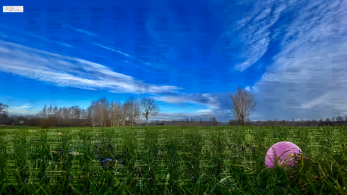 Item #56955278295258024162647376458988232160712811185881880734386354940904290123777 Media