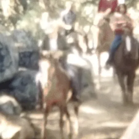 #010 Horseback Riding California Mountains - 1970s - Found Footage NFT: Super 8 + 8mm