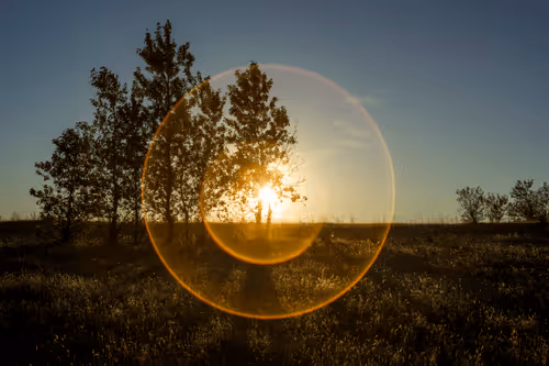 Item #89941232778001750328506202781150262804978379678405675417554418846490941194241 Media