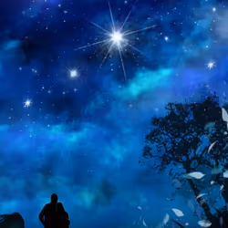 Stars