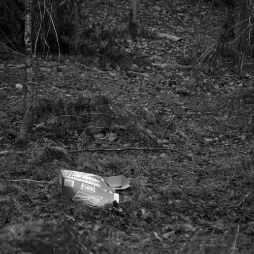 Item #106126435747361760478255485780352519166561968959024906964316827667323947057153 Media