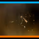62437683110561488333233315460550016017484908164636042892370409439775942508545