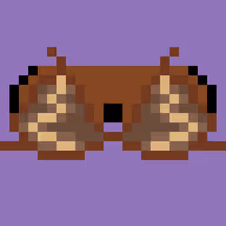 16005301797562434782374428620128297270626879093434325002341504964632185405441