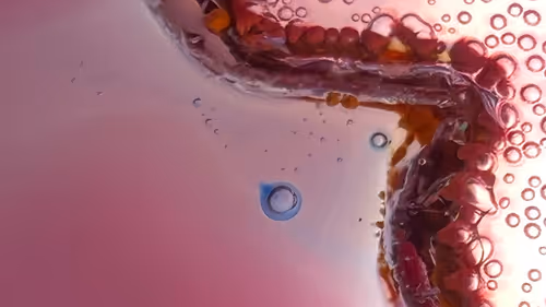 Item #101722242459461766671850244672997948412133570446471513908012687122013010001921 Media