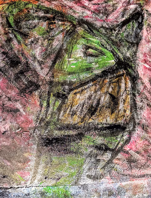 Item #97826181692832727353055875584091527823974021252541251643714143805627573469185 Media