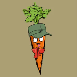 Carrot #98