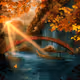 COTI Autumn NFTs