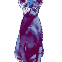 Oliver Glitching Out