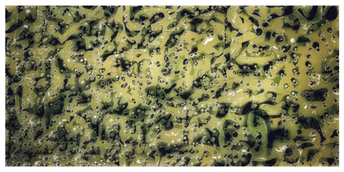 Item #51473231725030821521761429641162359942520841006872316929239156052144963977217 Media