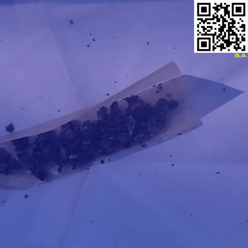 61089433673675855013240100592429788426200334601701735580530433781793934016513