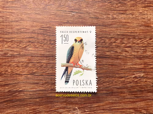 Item #20597586626667959385800891861414849022288511145256085744500515458315412570113 Media