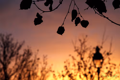 Item #111326101478107214990251795731047965840392207690526379209547236975190086778881 Media