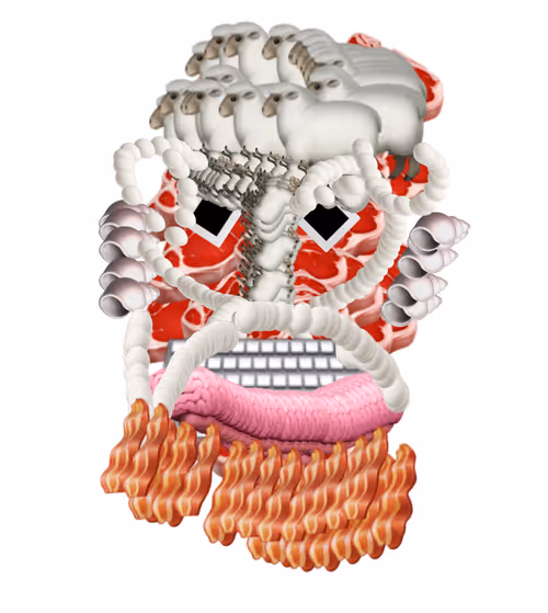 Item #6992315054696721615607145011643872494191121229500609011832343363363950034945 Media