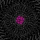 oscillations by desultor