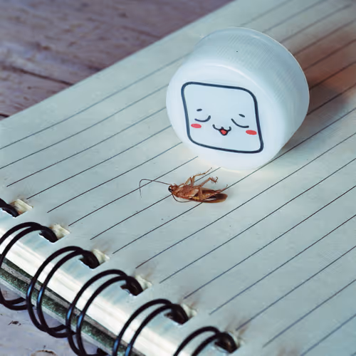 Item #85458083059713581969125119633380257901929151891311293753618595532400884711425 Media