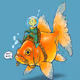 Characters Studio & Illustrate