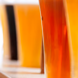 Beer Colors