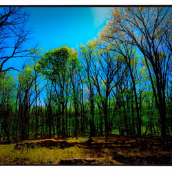 Study for Hickory Creek Junction, April 30, 2021 - 03054