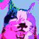 75966370200438588383130325890106719896654330503106012000871593996167986282497