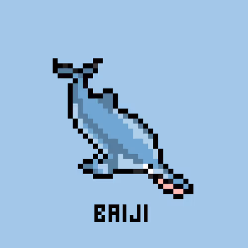 Item #21186368627939583809650934448083672561154806726247454281822241670277602738177 Media
