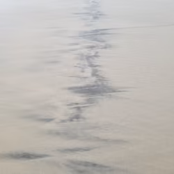 Heartbeat of the Sea