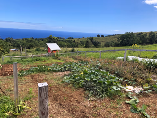 Item #111384347419130010131898734196272882001680551158239169533315207291078109560833 Media