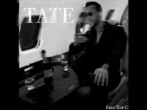 Item #48817016868112152716363427426781564827521607120618652118531562289512304345238 Media