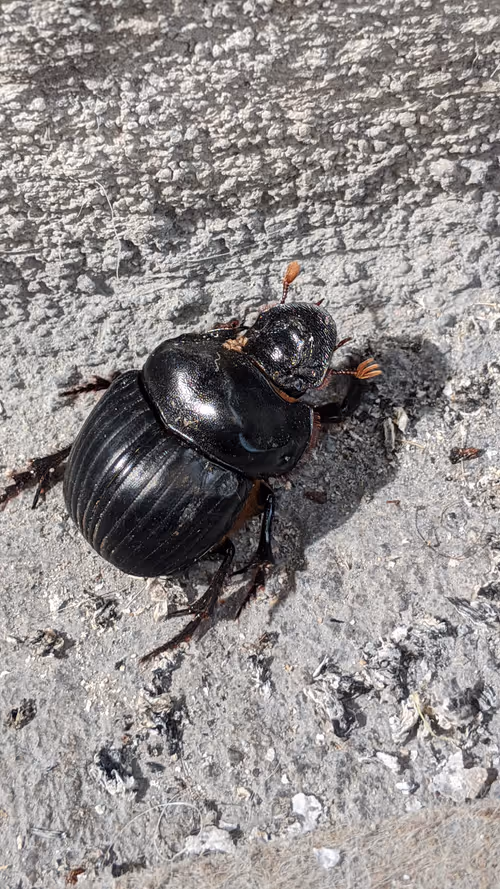 Item #47518194273065051299756248603371626593986050369570479212048397530066239619073 Media