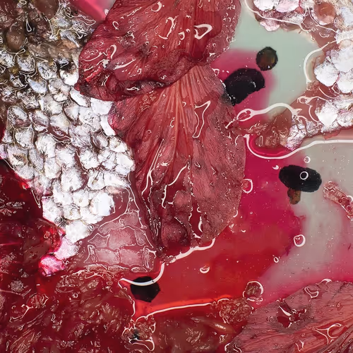 109162157552346088047496633038404394118504199992061596446112929425909780316161