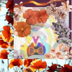 43934356041979788994720387566592113896090705409159728672493217309256505622529