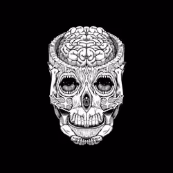 DiscoBot