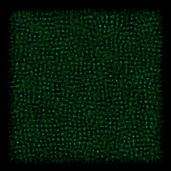 Physarum #103