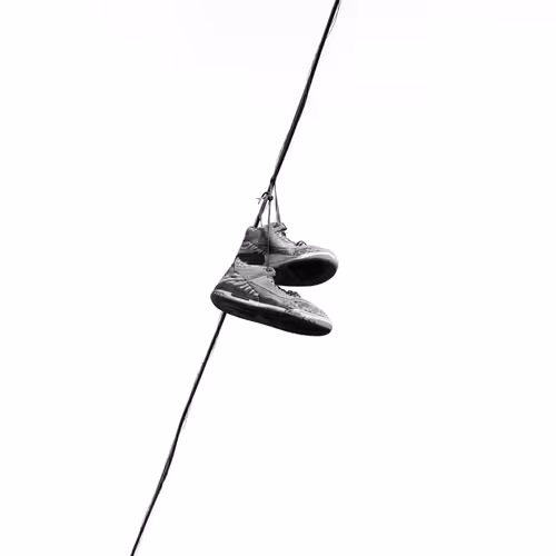 44231692163325033527706634296024509461007343983716307526579858961548819038209