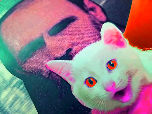 Item #4747115153065902387790593868107453782499677024781155622119190030183846379521 Media