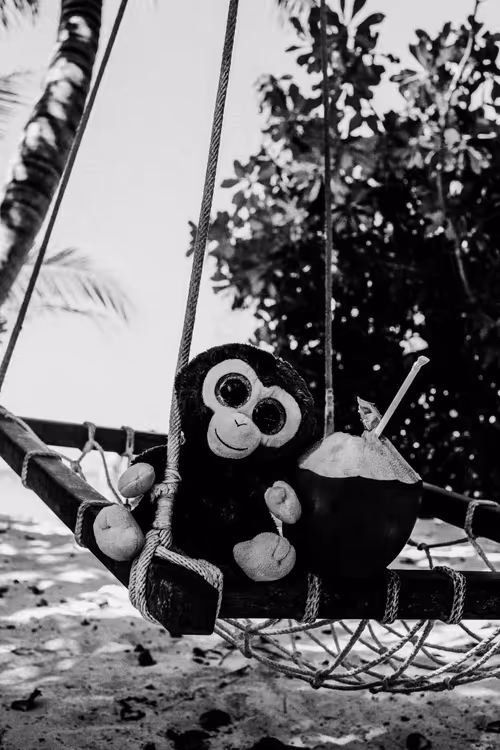 Item #78523124948883737191824425685370443041181342440538518293301156650372458086401 Media