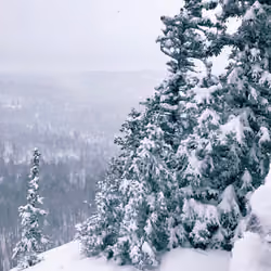 Snow Patrol