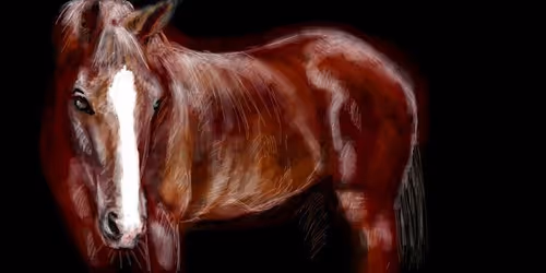 Item #234449613376242520670736673270642042894031597378204756067995393364055818241 Media