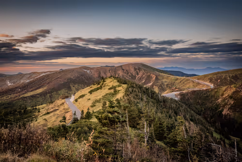 Item #108911492996146874115956011896780761878527851196280444702557873479784014544897 Media