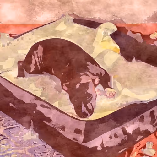 WhalesTail Collection