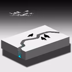 95006517630059983574496261216817445761656404588759348816225503807732170358785