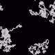 46443140435526123263349023868976142915031731050544552291035459370414984134657