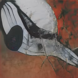 Whale