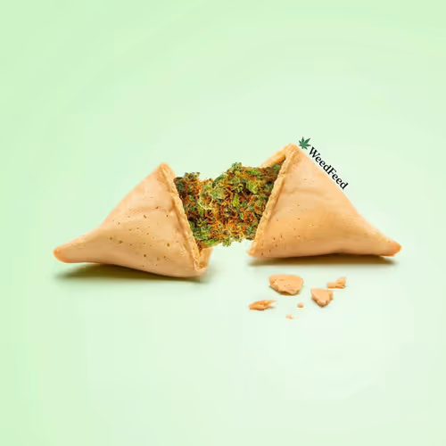 Item #276618171581163995688451181711762959038558310937804576463711784584943239169 Media