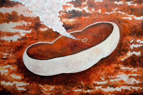 Item #91148977893993609875712018447068443419766610272815647092173437060181519237121 Media