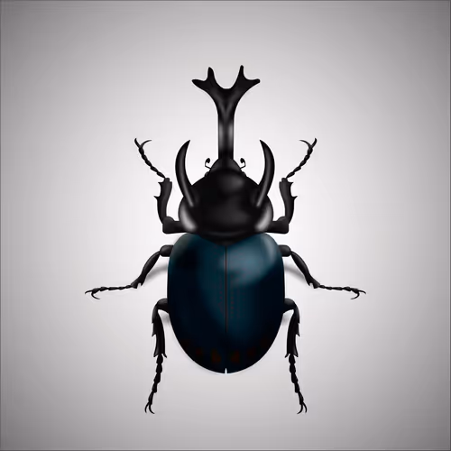 Item #15006194083360452165747859706250248338064014496976576965207407559912294711297 Media