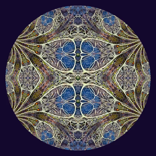 Item #78025697421519854394745813997348957843608354579108460228935444790710575824897 Media