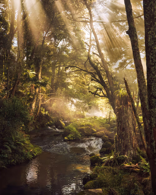 Item #14416656700475663864726672344569766568452912279528818547653479140627239141377 Media