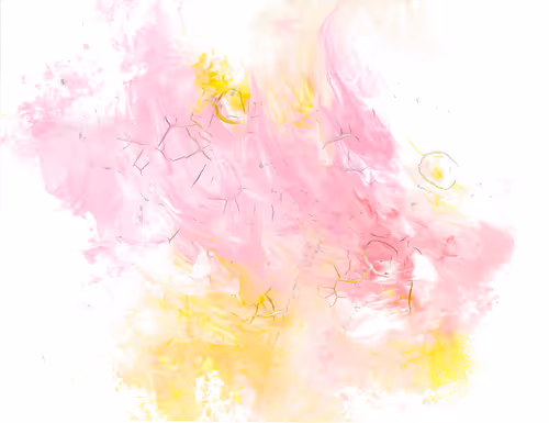 Item #66736690279118703969670916342624545511909248920861244220246673133276770598913 Media